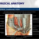 Diapositiva02