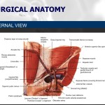 Diapositiva03