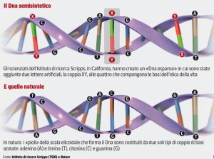 codice genetico espanso