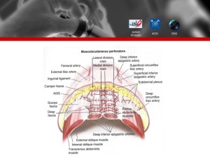 Diapositiva09